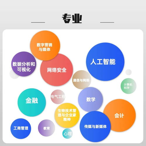 考研黨專屬機(jī)遇 熱門專業(yè)調(diào)劑名額開放，人工智能公共數(shù)據(jù)平臺成焦點(diǎn)